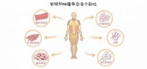 客服微信